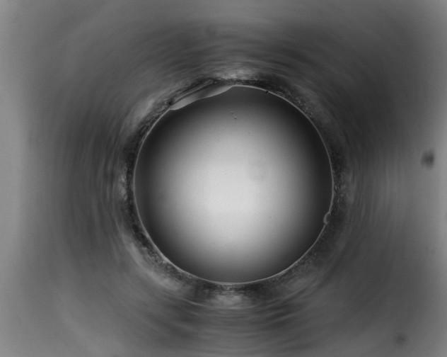 X0000116000547200911191426