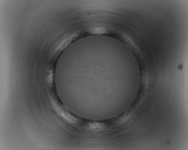 X0000116000549200911191426