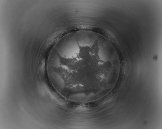 X0000116000550200911191426