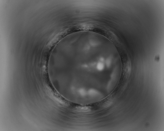 X0000116000553200911191426