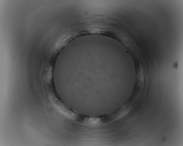 X0000116000554200911191426