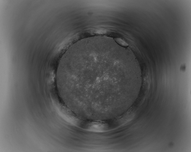 X0000116000555200911191426