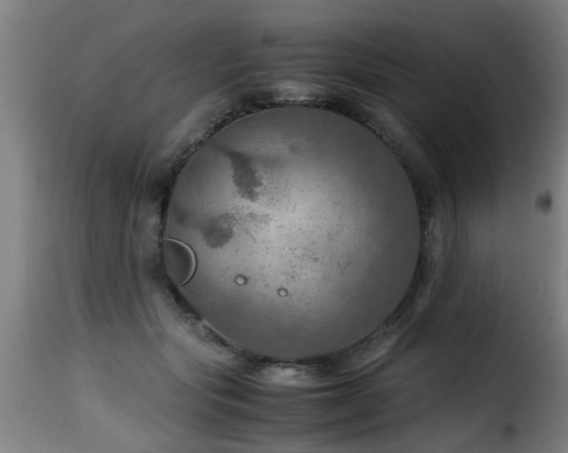 X0000116000557200911191426