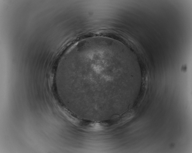 X0000116000558200911191426