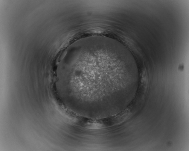 X0000116000559200911191426