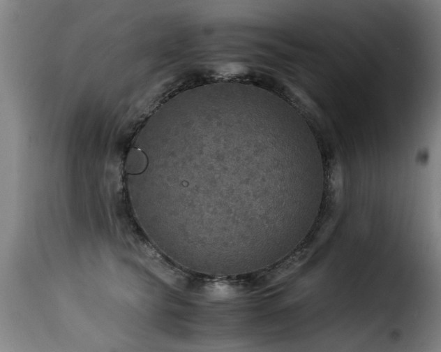 X0000116000565200911191426