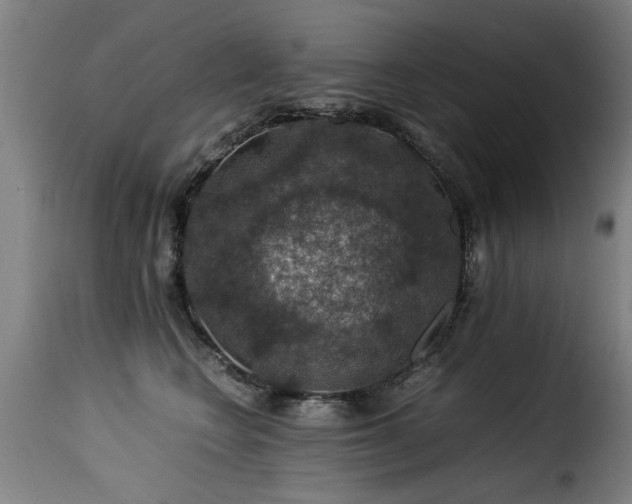 X0000116000566200911191427