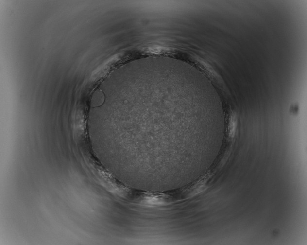 X0000116000569200911191427