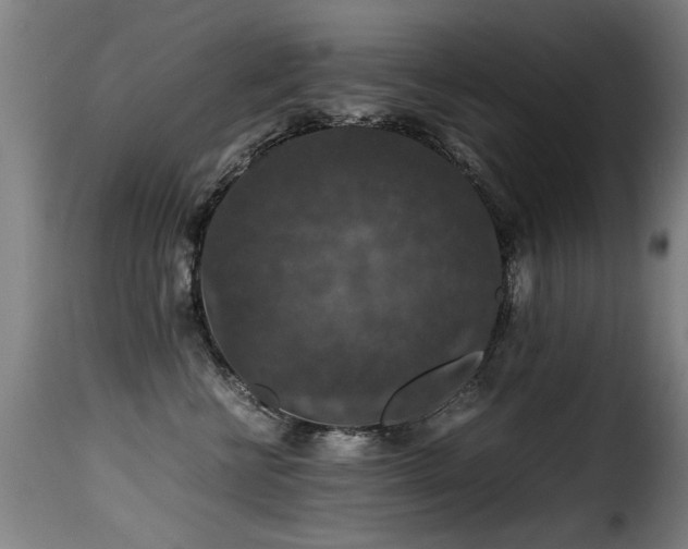 X0000116000570200911191427