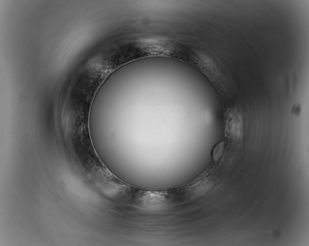 X0000116000573200911191427