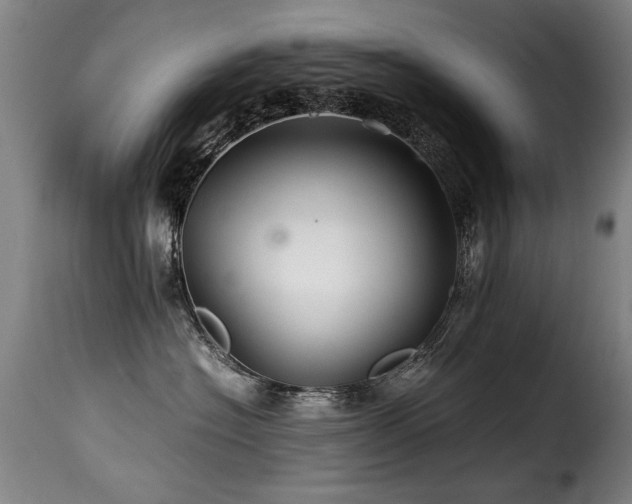 X0000116000574200911191427