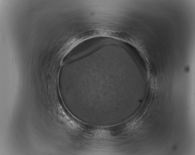 X0000116000577200911191426