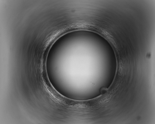 X0000116000578200911191426