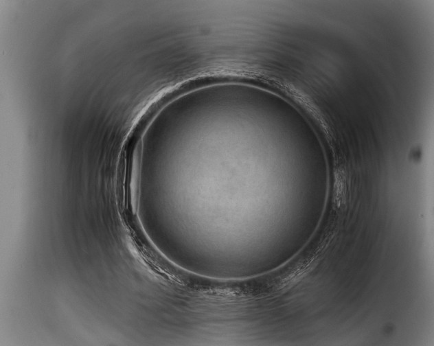 X0000116000580200911191426