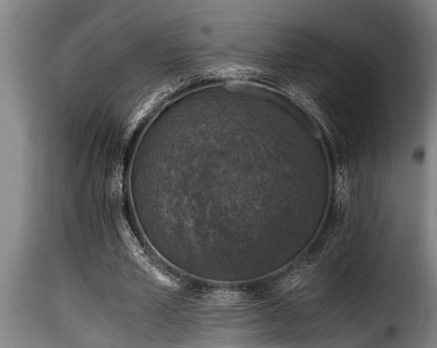 X0000116000581200911191426