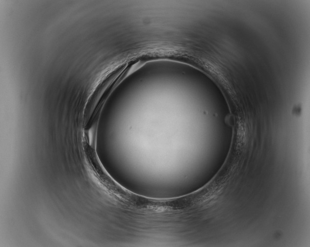 X0000116000582200911191426