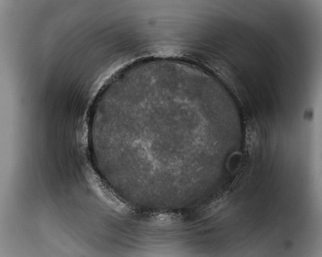 X0000116000584200911191426