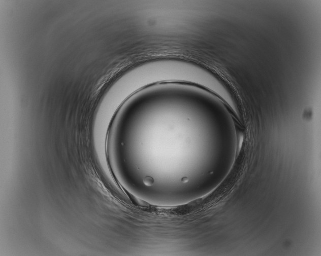 X0000116000585200911191426