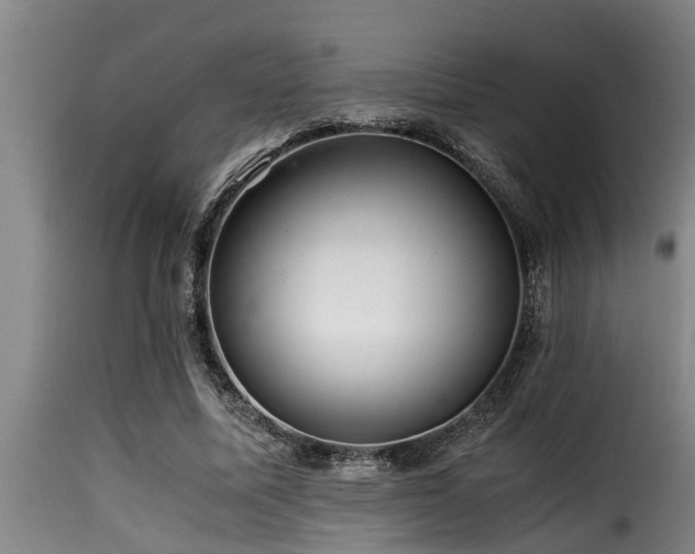 X0000116000587200911191426