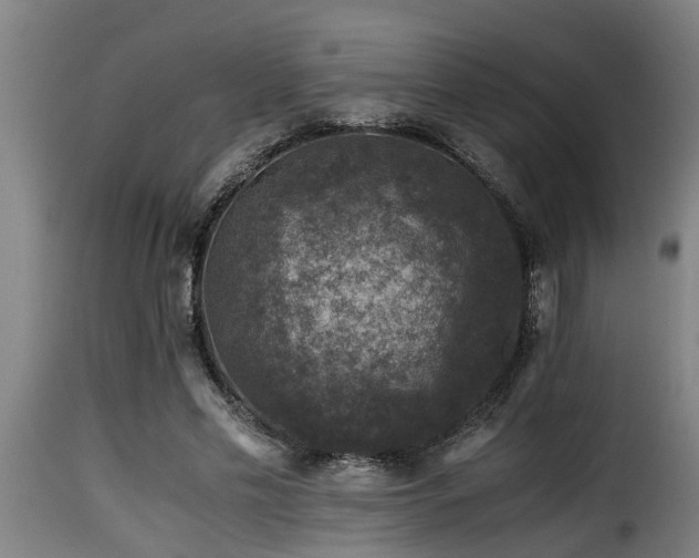 X0000116000589200911191426