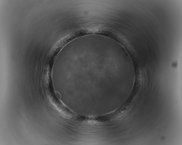 X0000116000590200911191426