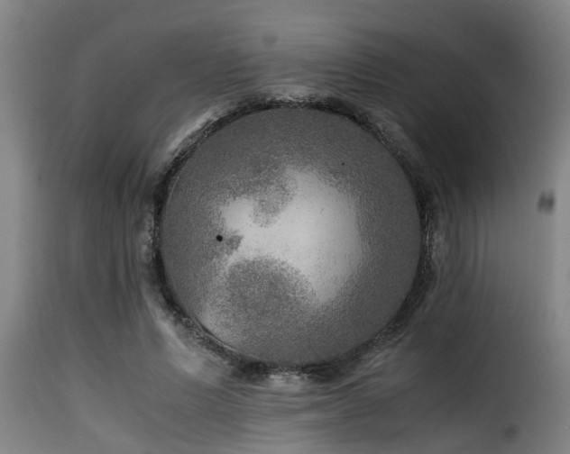 X0000116000591200911191426