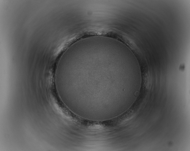 X0000116000594200911191426