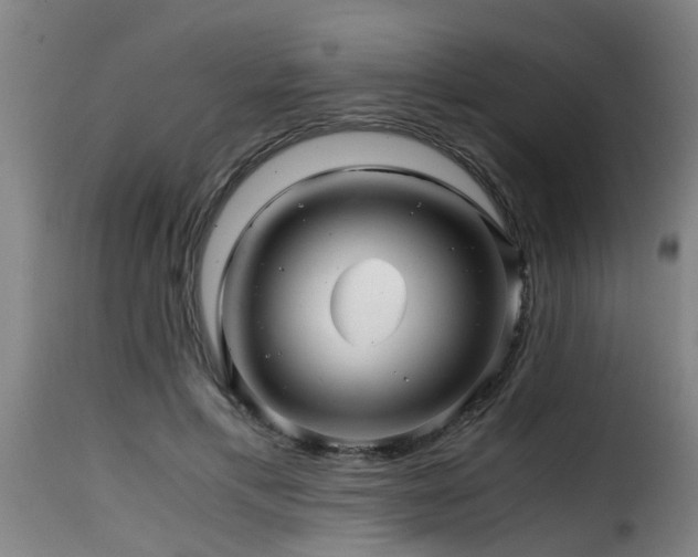 X0000116000597200911191426