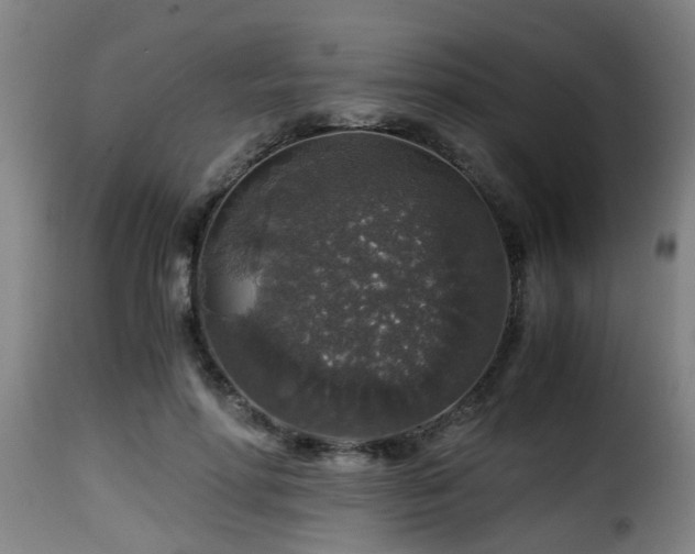 X0000116000598200911191426