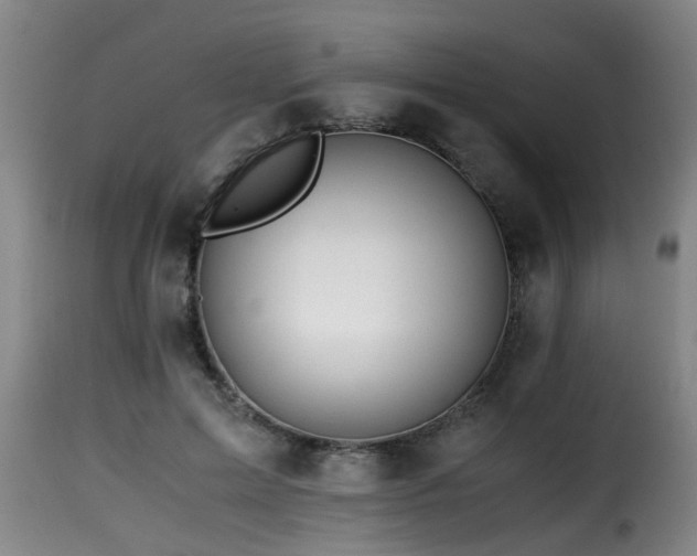 X0000116000599200911191426