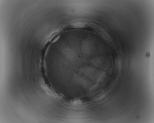 X0000116000600200911191426