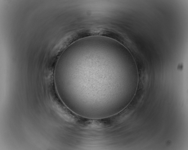 X0000116000601200911191426