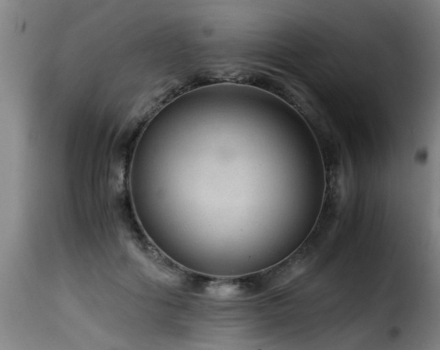 X0000116000602200911191426