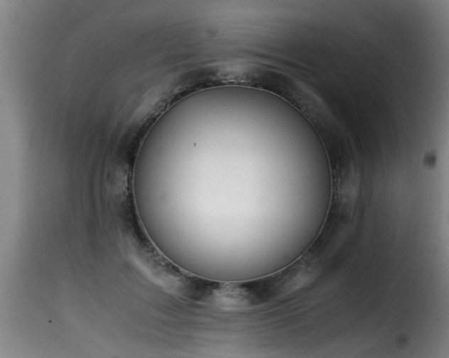 X0000116000603200911191426