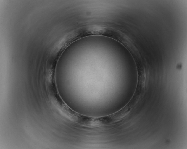 X0000116000604200911191426