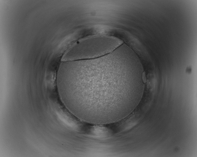 X0000116000605200911191426