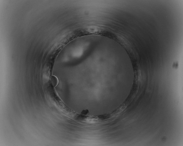 X0000116000606200911191426