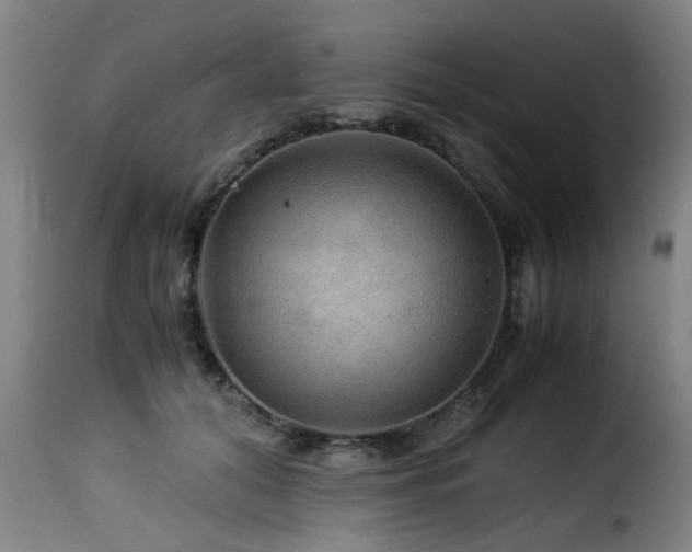 X0000116000608200911191426