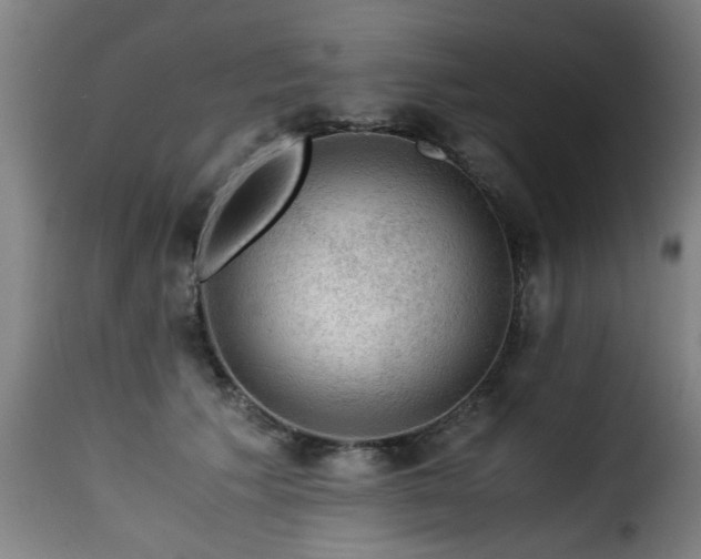 X0000116000609200911191426