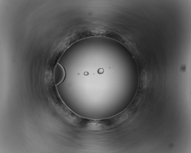 X0000116000614200911191425