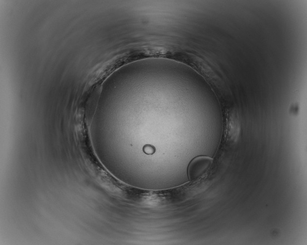 X0000116000616200911191425