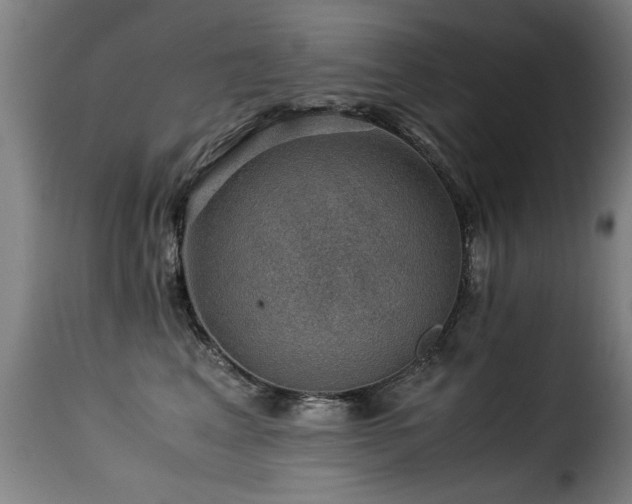 X0000116000617200911191425