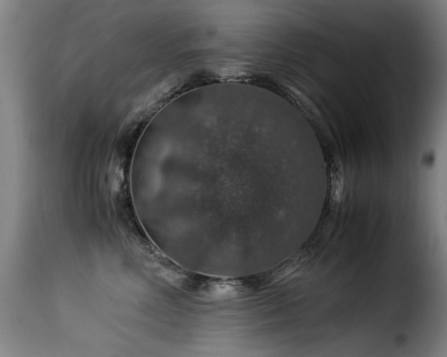 X0000116000618200911191425