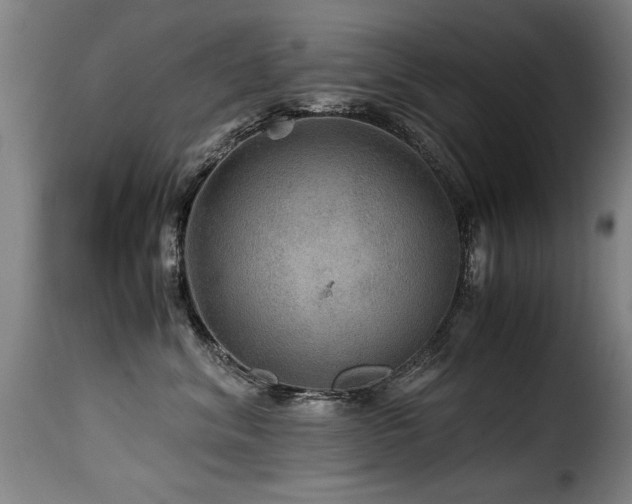 X0000116000620200911191425