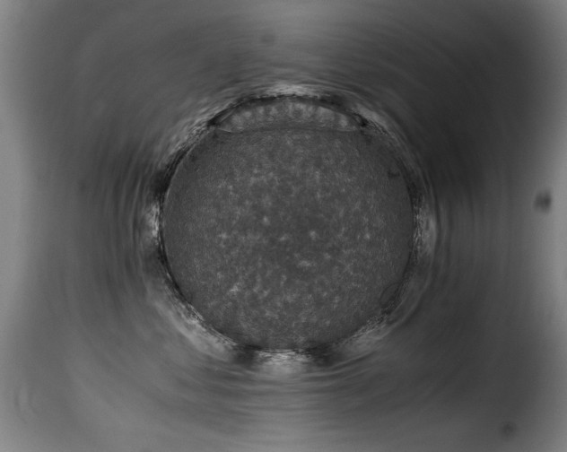 X0000116000621200911191425