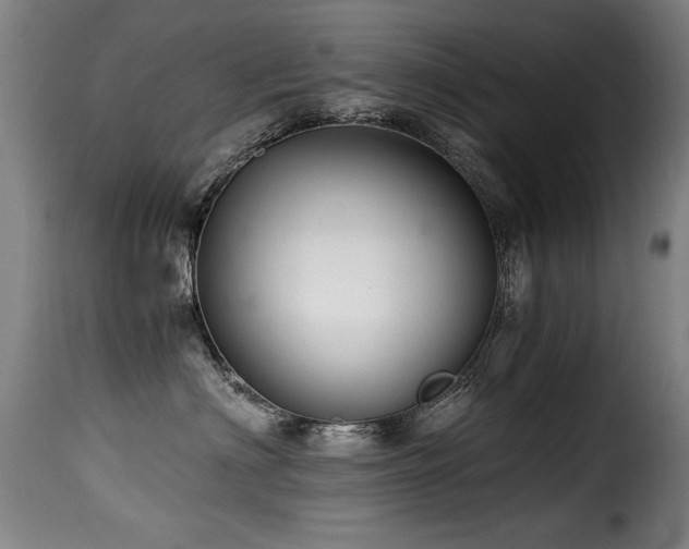 X0000116000622200911191425