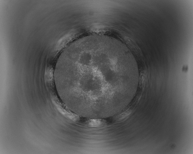 X0000116000623200911191425