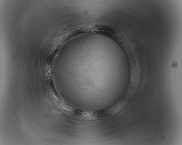 X0000116000624200911191425