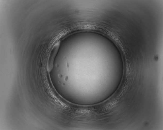 X0000116000625200911191425