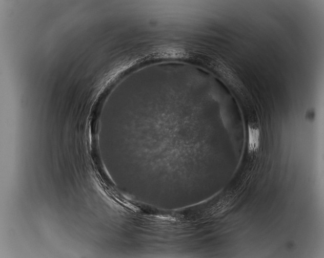 X0000116000627200911191425